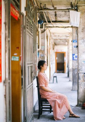 入青云电视剧免费观看全集完整版