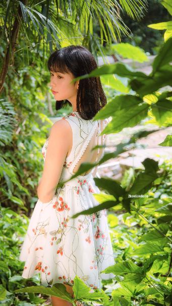 国产最好的高清电视