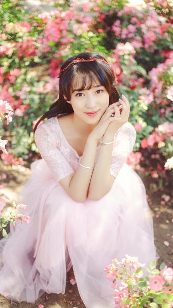 扫黑风暴电视剧在线观看免费完整版